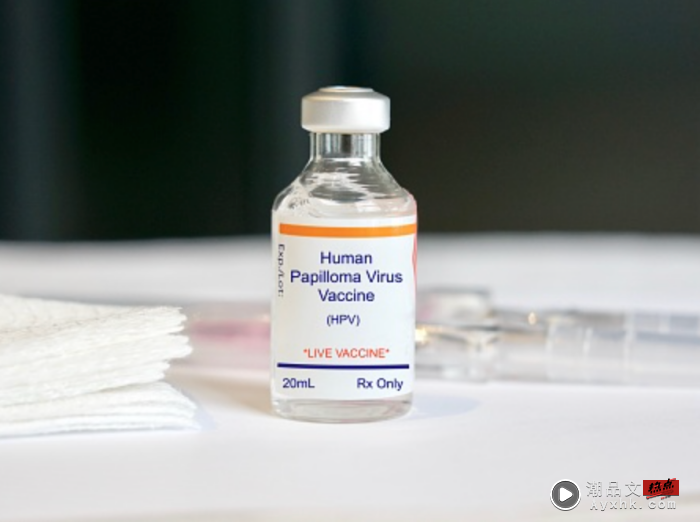 Tips｜接种完HPV疫苗后需注意的5件事，建议收藏！ 更多热点 图1张